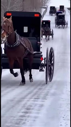 Amish Ice Buggy Nationals ❄️🏁 #amish #racing #winterdriving r