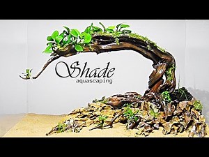 Aquascaping SHADE