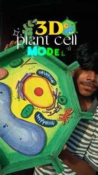 DIY 3D plant cell model part 1#shorts