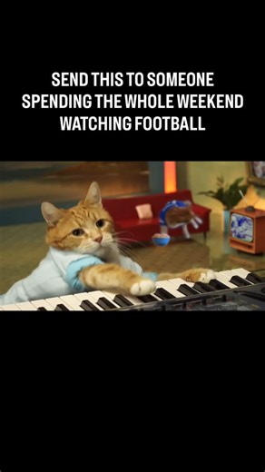 Keyboard Cat on Instagram: "Keyboard Cat Plays During The Football Game #cat #football #Seahawks #funny #meme"