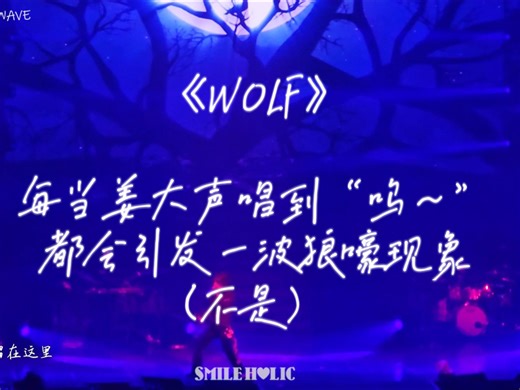 [中字]250427 WOLF 全景饭拍 D's WAVE首尔场