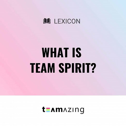 What is Team Spirit? » Quickly explained!