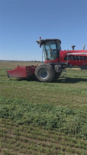 Flashback to 4th cutting alfalfa | High Plains Farmer