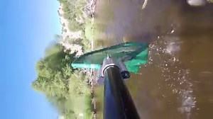 Looking for a great fishing destination in southeast Wyoming? How about a blue ribbon stream and a wild trout stream rolled into one? If so, head out to the North Platte River near Saratoga. Last summer, the Laramie Region Fisheries Management Crew used raft electrofishing to sample the North Platte River upstream of the Treasure Island PAA. They sampled more than 2,200 trout in three days. Trout were weighed, measured, and marked with a fin clip to indicate that the fish had already been counte