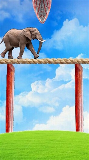 Ya Rab E Mustafa Tu Mujhy Hajj Pe Bula | Beautiful Naat 2026 | #shorts #naatshar YouTube growth