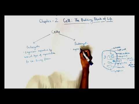 Class 9 science chapter 2 -the building block of life( new ncert)