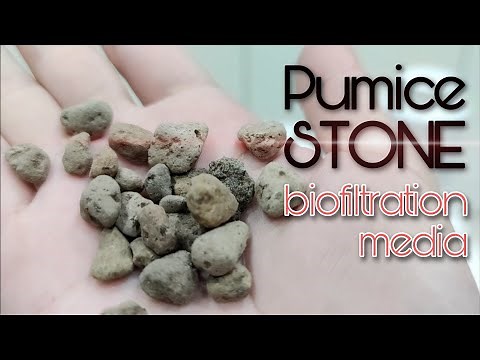 Stream Tank - Pumice Stone Biofiltration Media [Eng Subs]