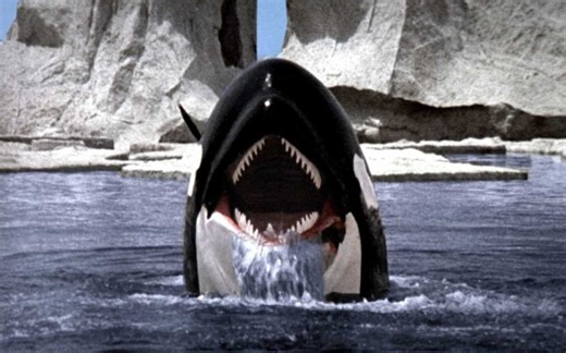 Orca The Killer Whale OST—We Are One