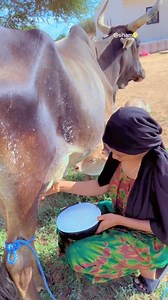 307K views · 19K reactions | My fula people on this | In Sierra Leone we Trust | Facebook