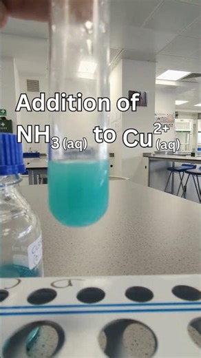 Copper + Ammonia Reaction