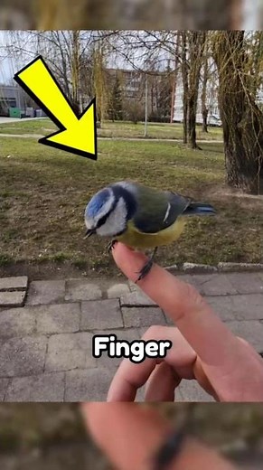 Incredible Rare Photos That Will Shatter Your Perception of Reality 🌍 | Too Wild to Believe