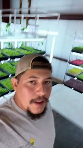 The future of farming is small urban farms supporting their local communities! It’s simple enough to scale to a comfortable level and maintain. #farmstead #urbanfarming | Josh Schaver