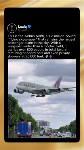 The King of the Skies ✈️👑