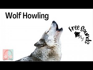 Wolf Howling | Free Nature Sounds