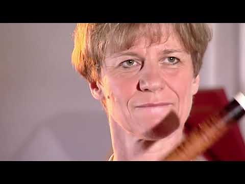 Instrumentenkunde Geschichte der Querflöte/ Traversflöte