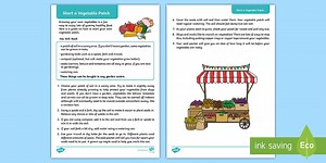 Start a Vegetable Patch Activity