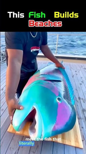 The Fish That Poops Paradise