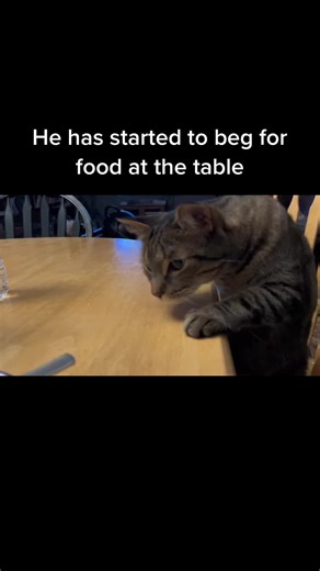 Joebot (@joebot73)’s videos with original sound - Joebot