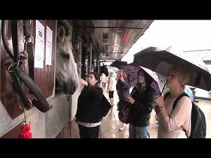 Wimbledon Common Open day 2011