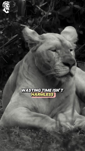 Your time = Your life #shorts #stoicphilosophy