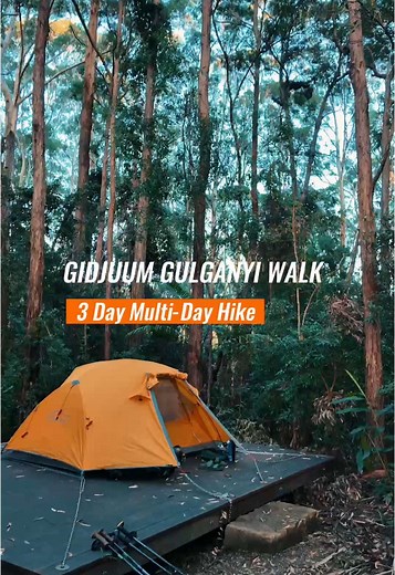 Experience the Gidjuum Gulganyi Walk in NSW