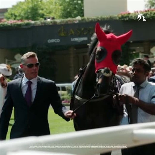 MyRacehorseAusNZ. It’s Showtime. on Instagram: "Number 8 on our Top 10 MRH moments of the year was our Royal Ascot appearance, with Lightening Mann repping the Crimson red at one of the most famous racing meets in the world!"