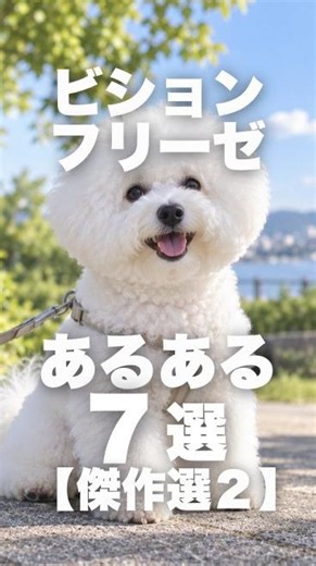 ビションフリーゼあるある7選【傑作選第二弾】
