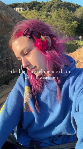 Dealing with Ant Infestations and Nature's Messages