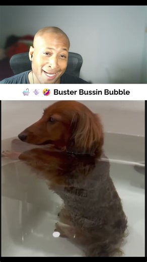 🛁💨🤣 Buster Bussin Bubbles 😳 #shorts #youtubeshorts