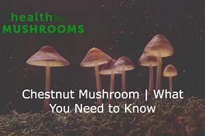 Chestnut Mushroom | What You Need to Know - Health By Mushrooms