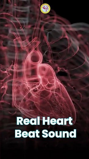 Real Heart Sound | Heart Anatomy (3D Medical Animation) #heart
