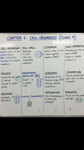 This is the best rapid revision for all the cell organelles| Class 9th| Biology#rapidrevision#study