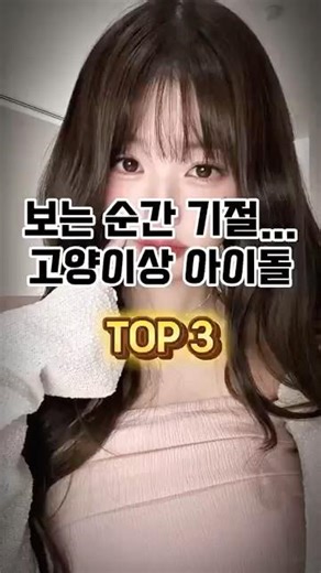 2026 고양이상 아이돌 TOP3... 과연 1위는?