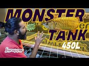 Arowana Fish Tank Setup | 450 Liter Aquarium with Top Filtration System