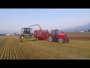 Springtime Harvest Struggles