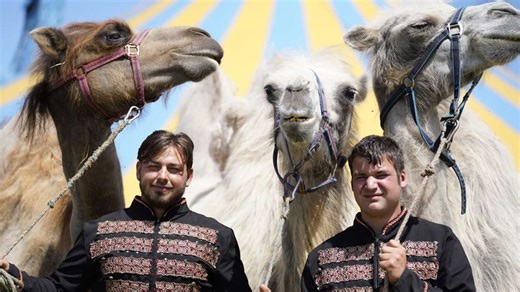 Zirkus in Meininger Ortsteil: Circus Atlantik gastiert in Walldorf - inSüdthüringen