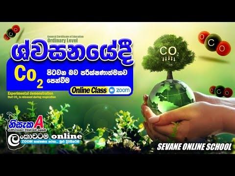 ශ්වසනයේදි කාබන්ඩයොක්සයිඩ් පිටවන බව පරික්ෂනාත්මකව පෙන්වීම O/L science shwasanaya 