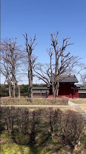 911:羽村市郷土博物館(Hamura Museum) #羽村市 #東京都 #日本の風景 #パノラマ