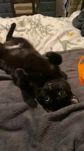 New Jinx Merch Showcase! Check out the Latest Collection!