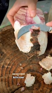 807K views · 1.3K reactions |  Dive into quick farming hacks with our bite-sized tips #farming #farm #plants #grafting | Kito.Uno | Facebook