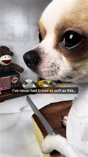 Delicious Japanese Milk Bread Recipe You Must Try