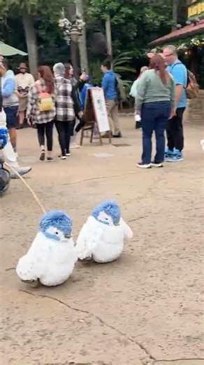 Finding Nemo The Musical 20251226 20260106 WDW19 short191 #disney