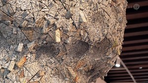 Chun Kwang Young: Times Reimagined / Palazzo Contarini Polignac, Venice