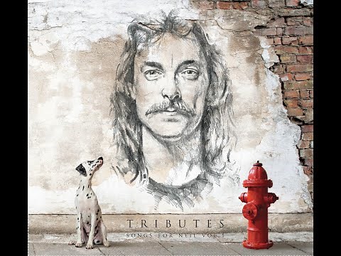 Afterimage (Rush cover) - Moving Pictures