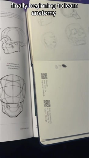 Understanding Anatomy for Artists: A Beginner's Guide