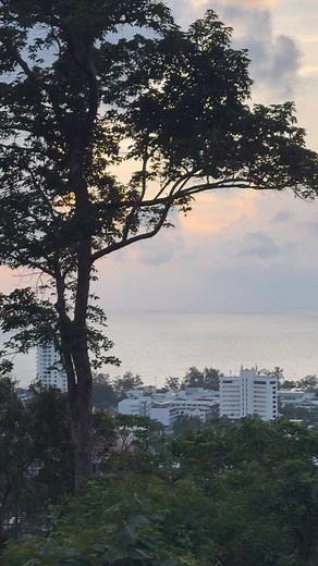 Viewpoint Jungle VIP - Karon, Phuket - 04/11/2025 #phuket #phuketthalland #phuketweather #meteophuket #phuketholiday #holidayinphuket #whattodoinphuket #studyinphuket #edvisathailand #edvisaphuket #studyenglishthailand #studiareallestero #WelcomeToThailand #studythai #studythaiinphuket #studyholidays #studyholiday #vistothailandia #thaishopping #thailand #thailandtravel #phuketbeaches #thaimarket #thaifood #amazingthailand #shoppingthailand #beachlife #Karonbeach #karonphuket | La Dolce Vita Tha