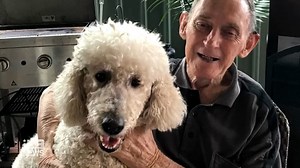 56K views · 444 reactions | The daughter of a terminally ill man feels pressured to move her father out of Bankstown Hospital to free up his bed. The health system is struggling with rising COVID-19 cases, with paramedics yesterday facing their second busiest day on record. #9News | Nightly at 6pm | 9 News Sydney | Facebook