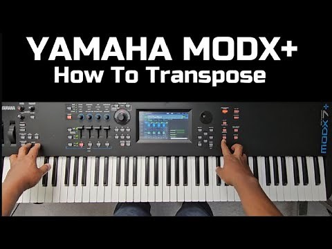 How To Transpose on Yamaha MODX+ Keyboard
