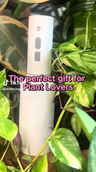 Do you mist your plants? #plantmister #electricmister #holidaygift #tiktokmademebuyit