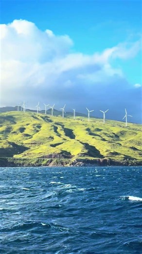 West Maui Mountains Turning Green | Update After Maui’s March Kona Storms